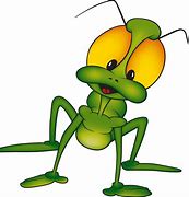 Image result for Texas Crickets
