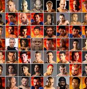 Image result for Most Famous UFC Fighters