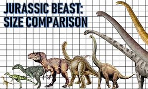 Image result for All Dinosaurs Size Comparisons