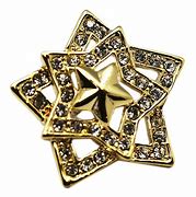 Image result for Gold Lapel Pin