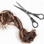 Image result for 7 Inches of Hair