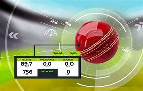 Image result for Cricket Ball