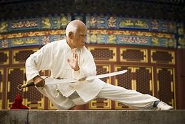 Image result for Kung Fu in China
