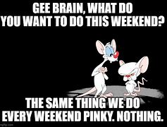 Image result for Meme Saturday Pinky Brain