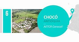 Image result for acaral�ctico