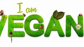 Image result for What Does It Mean to Be Vegan