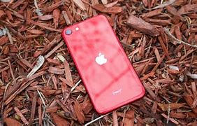 Image result for red iphone se 3