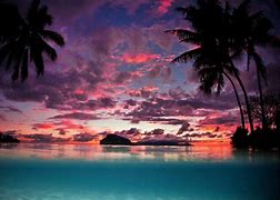 Image result for Beach Background 8K