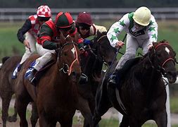 Image result for Electronic Horse Race with Finish Line