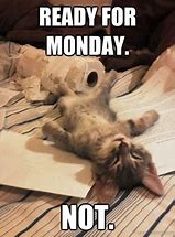 Image result for Happy Monday Funny Meme