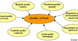 Image result for Quality Importance