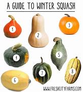 Image result for Winter Squash Identification
