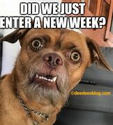 Image result for Happy Week Meme