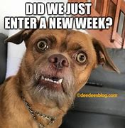 Image result for Welcome to a New Week Meme