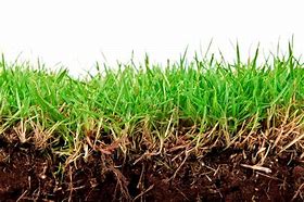 Image result for Grass and Dirt Background