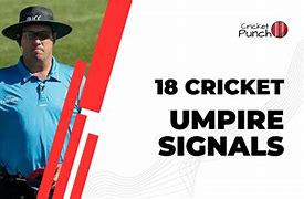 Image result for Cricket Umpiring Signals