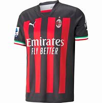 Image result for Zlatan Imbrohovich Jersey