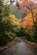 Image result for Maine Fall Scenery