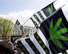 Image result for Biden administration plans to reclassify marijuana