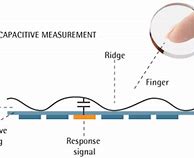 Image result for How Fingerprint Scanner Works