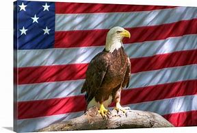Image result for Eagle American Flag Wall Art