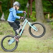 Image result for Best Kids BMX Bike