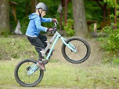 Image result for Kids BMX Bikes 16