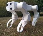 Image result for JNTUK Robot Dog