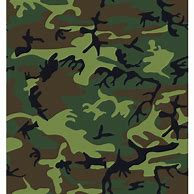 Image result for Haw206 Camouflage