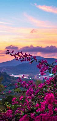 Image result for Colorful Landscape iPhone Wallpaper