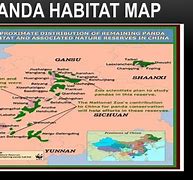 Image result for Giant Panda Habitat Map