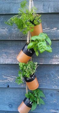 Image result for Indoor Herb Garden Ideas