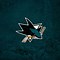 Image result for San Jose Sharks Wallpaper