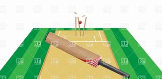 Image result for Cricket Pitch