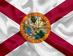 Image result for Florida Flag