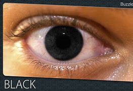 Image result for All-Black Eyes