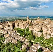 Image result for Sunce Montepulciano