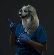 Image result for Dog with Human Body