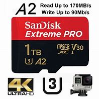 Image result for SD 1T GB Micro Memory Card