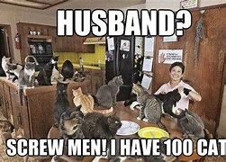 Image result for Kitty Lady Meme