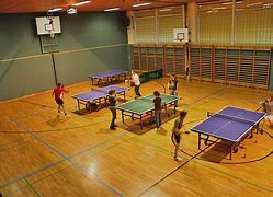 Image result for Table Tennis