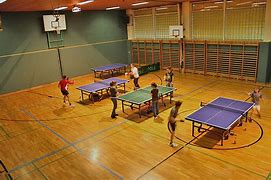 Image result for Table Tennis