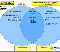 Image result for Comparison and Contrast Diagram