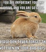 Image result for Funny Encouragement Memes