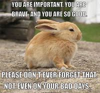 Image result for Fun Words of Encouragement