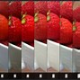 Image result for iPhone Camera Quality Examples