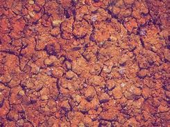 Image result for Soil Section Ground Texture
