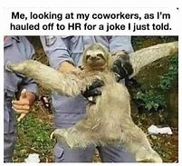 Image result for HR Joke Meme
