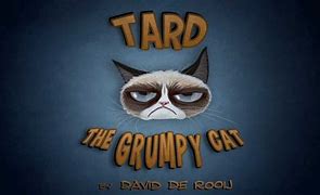 Image result for Grumpy Cat Tard