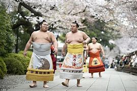 Image result for Sumo Wrestlers Tokyo
